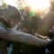 Delaney Hall Clashes Intensify as Pro-ICE and Anti-ICE Protesters Face Off in New Jersey