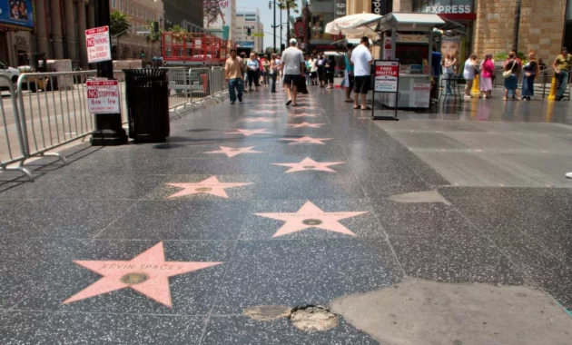 Man stabbed after dog attack on Hollywood Walk of Fame: A Tragic Incident Unfolds