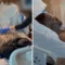 Ray J Hospitalized After Suffering Knockout in Las Vegas Fight