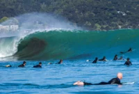 World Surf League Halted New Zealand Pro: Photographer Attacked by Shark or Sea Lion