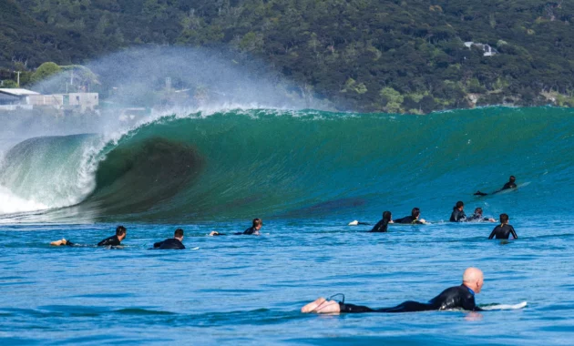 World Surf League Halted New Zealand Pro: Photographer Attacked by Shark or Sea Lion