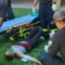 3 Horses Stabbed, Teen Held: Shocking Incident at Las Vegas Racing Event