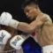 Australian Boxer Andrew Moloney Wins IBF Super Flyweight Title in Thrilling Japan Bout