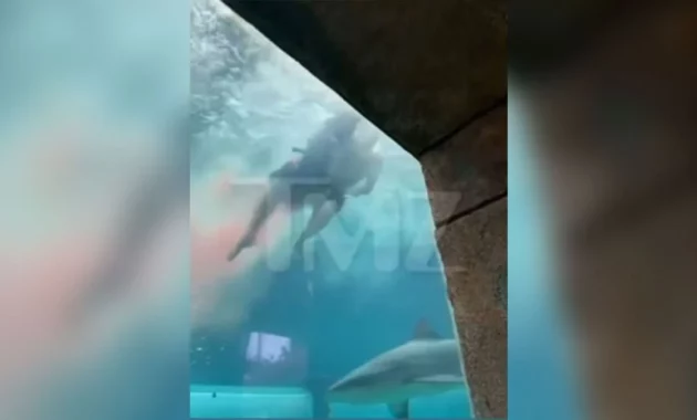 Boy injured in shark attack [titlebase]: A Frightening Incident in the Bahamas