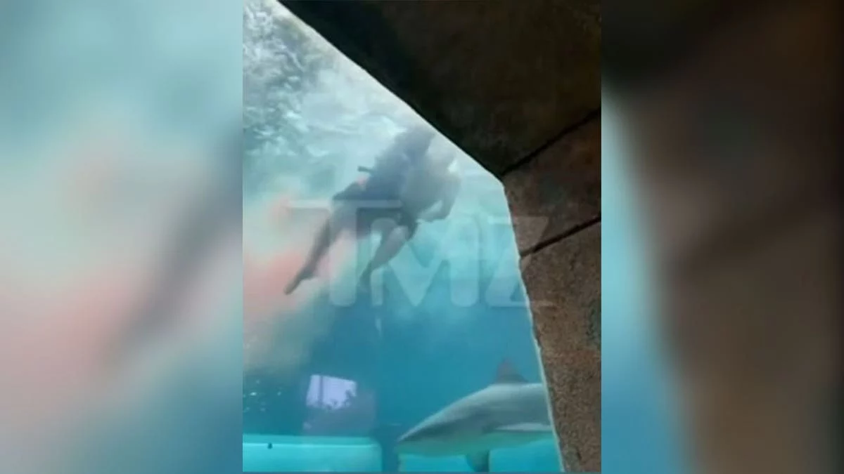 Boy injured in shark attack [titlebase]: A Frightening Incident in the Bahamas