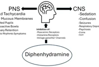 CT Reports 3 Child Deaths [titlebase]: A Growing Concern of Diphenhydramine Overdose
