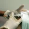 FDA Panel Backs mRNA Shot For Flu Season, A Historic Decision