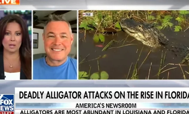 Florida alligator attacks [titlebase]: Deadly Incidents on the Rise in the Sunshine State