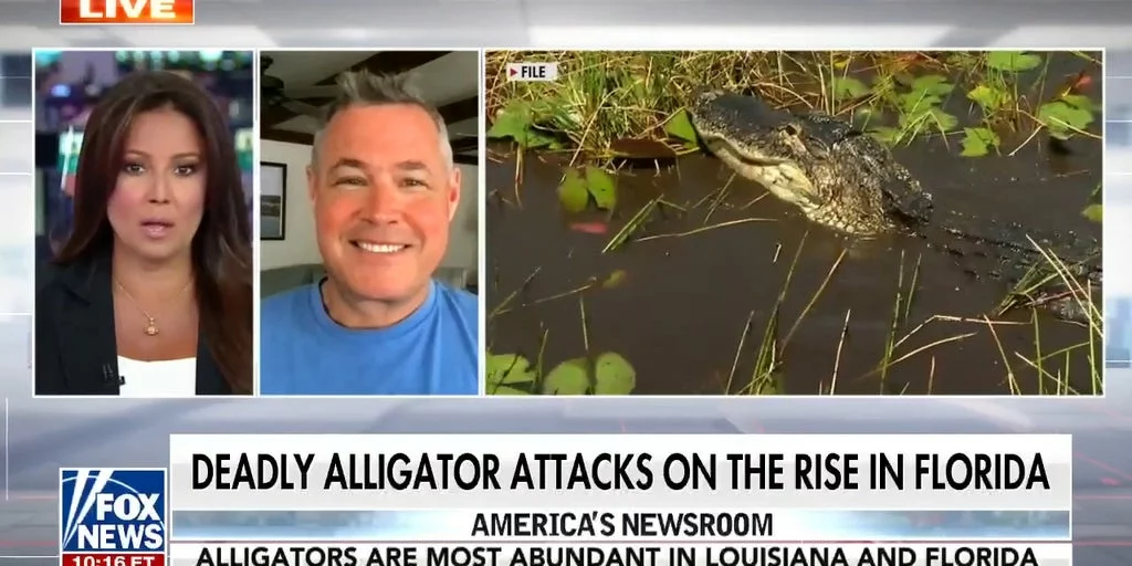 Florida alligator attacks [titlebase]: Deadly Incidents on the Rise in the Sunshine State