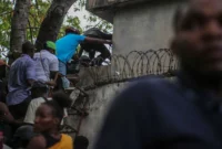 Top Haitian Official Abducted: A Blow to the Country’s Fragile Security