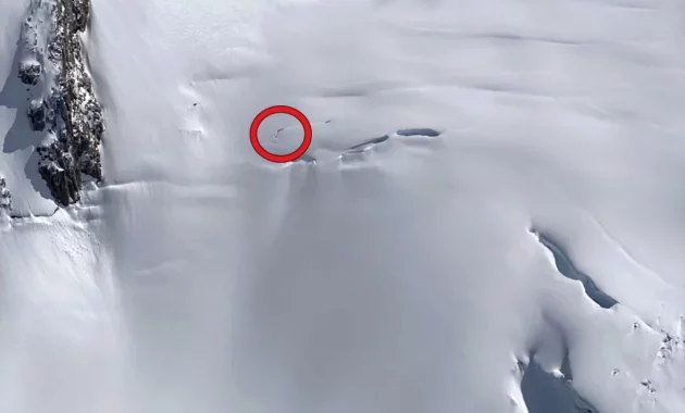 Tragic Incident: Park Ranger Dies After Falling into a Crevase on Alaska’s Mount McKinley