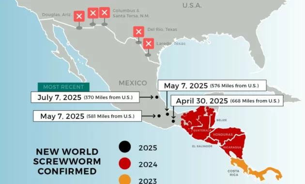 US, Mexico target screwworm [titlebase] Infestation with Aggressive Measures