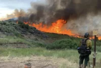 4th Firefighter Dies in Colorado Blaze: A Heartbreaking Loss for the Wildland Fire Family