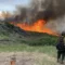 4th Firefighter Dies in Colorado Blaze: A Heartbreaking Loss for the Wildland Fire Family