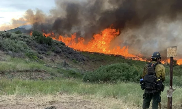 4th Firefighter Dies in Colorado Blaze: A Heartbreaking Loss for the Wildland Fire Family