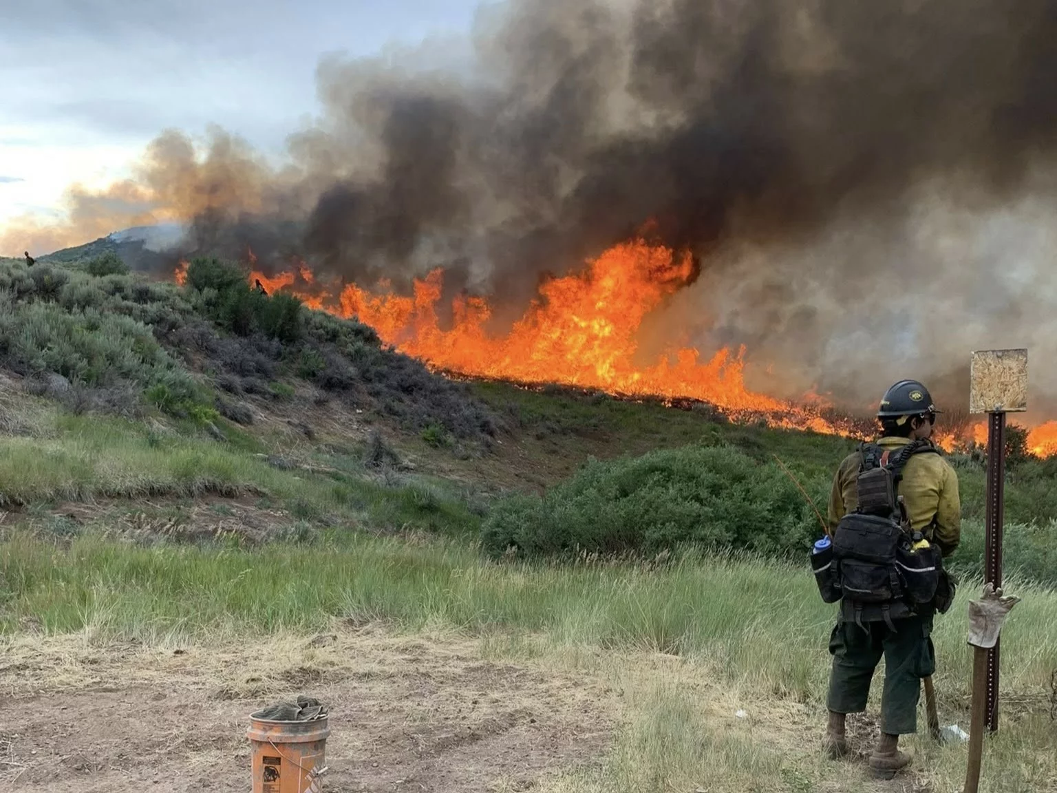 4th Firefighter Dies in Colorado Blaze: A Heartbreaking Loss for the Wildland Fire Family