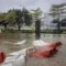 China Braces for Typhoon Bavi [titlebase]: Over 1.8 Million Evacuated as Storm Makes Landfall