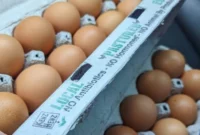 Egg Producers Settle Claims Over Alleged Price Fixing, Agree to Donate 53 Million Eggs