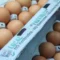 Egg Producers Settle Claims Over Alleged Price Fixing, Agree to Donate 53 Million Eggs