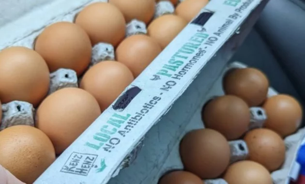 Egg Producers Settle Claims Over Alleged Price Fixing, Agree to Donate 53 Million Eggs