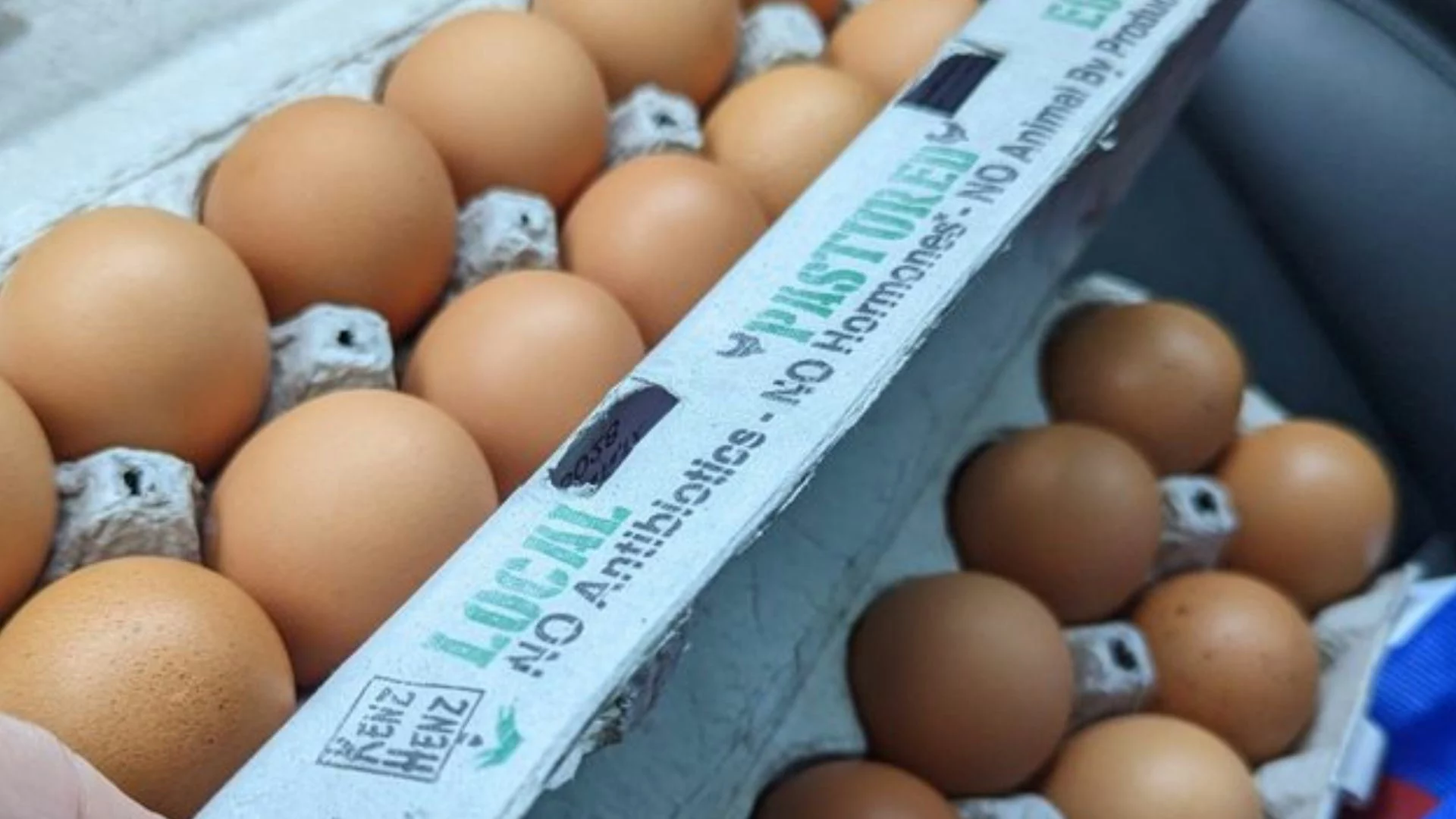 Egg Producers Settle Claims Over Alleged Price Fixing, Agree to Donate 53 Million Eggs