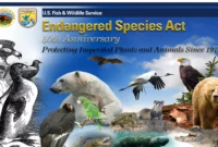 Environmental Groups Sue Government Over Endangered Species Act Changes