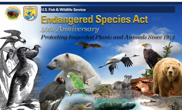 Environmental Groups Sue Government Over Endangered Species Act Changes