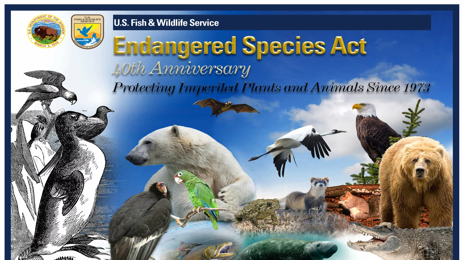 Environmental Groups Sue Government Over Endangered Species Act Changes