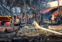 Evacuate Home Due to Wildfires: Thousands Affected in France and UK