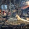 Evacuate Home Due to Wildfires: Thousands Affected in France and UK