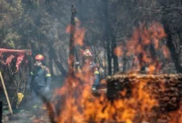 Firefighters Killed in Greece as Wildfires Rage Across Southern Europe