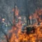 Firefighters Killed in Greece as Wildfires Rage Across Southern Europe