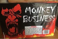 Fireworks Recall: Fireworks Recalled [titlebase] Due to Explosion and Burn Hazards