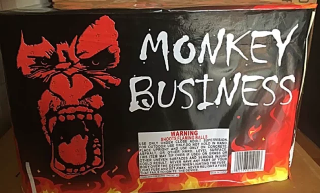 Fireworks Recall: Fireworks Recalled [titlebase] Due to Explosion and Burn Hazards