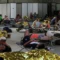 France Evacuates 4,000 People as Wildfires Rage Across Southwest Europe