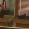 Injunction vs. midwife tossed [titlebase]: Texas Appeals Court Reverses Injunction Against Midwife Accused of Performing Illegal Abortions