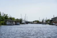 Louisiana AG Murrill Indicted: A Constitutional Crisis Unfolds in the Bayou State