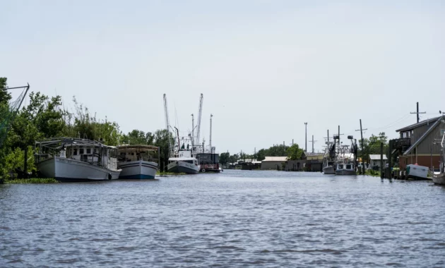 Louisiana AG Murrill Indicted: A Constitutional Crisis Unfolds in the Bayou State