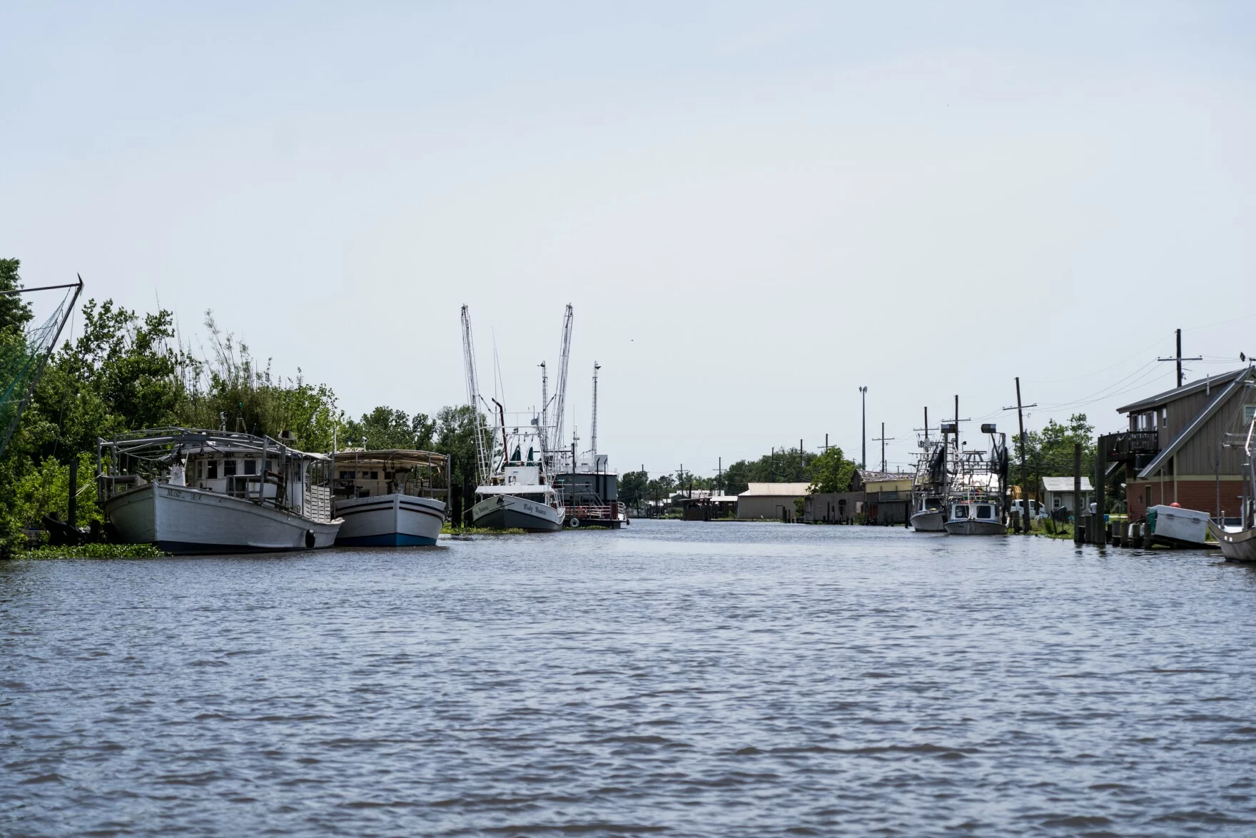 Louisiana AG Murrill Indicted: A Constitutional Crisis Unfolds in the Bayou State