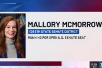 Mallory McMorrow Suspends MI Senate Bid, Leaving a Two-Way Battle for Democrats