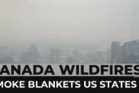 MI lawmakers press Canada for action on raging wildfires as smoke blankets northern US