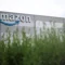 Amazon Sued over Seafood Claims [titlebase] Amidst Blowout Earnings and Tariff Refunds