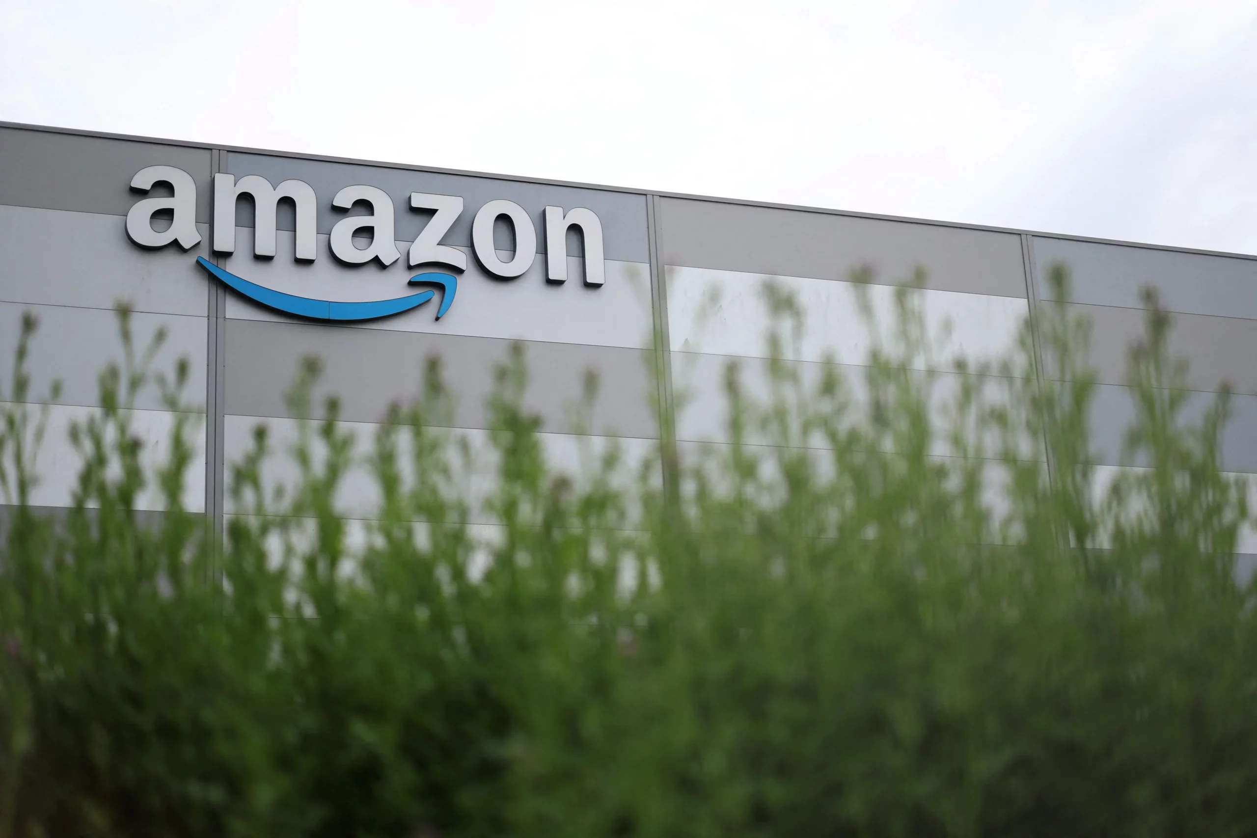 Amazon Sued over Seafood Claims [titlebase] Amidst Blowout Earnings and Tariff Refunds