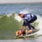 Dogs ride waves for top prize [titlebase] in Annual World Dog Surfing Championships