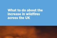 Probes health records giant? [titlebase] Issues Rise as UK Battles Wildfires and Plagiarism Scandals