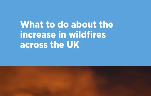Probes health records giant? [titlebase] Issues Rise as UK Battles Wildfires and Plagiarism Scandals