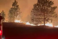 Spokane Wildfires Expand, Forcing Thousands to Evacuate as Blazes Engulf the City