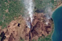 UK Wildfires Hit Record High as Europe Faces Historic Drought
