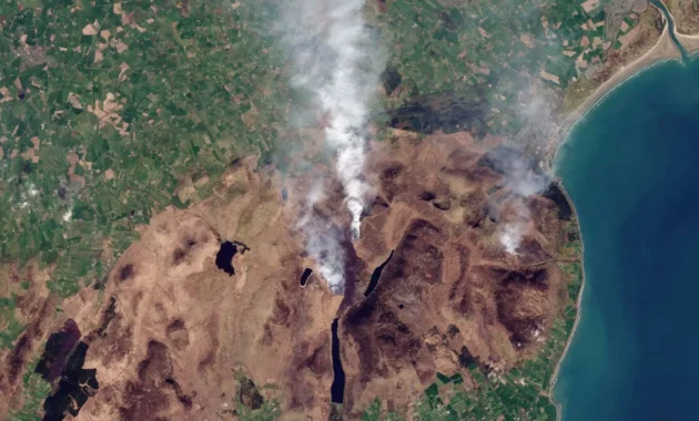 UK Wildfires Hit Record High as Europe Faces Historic Drought