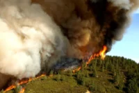 Wildfire in Metro Vancouver [titlebase]: Evacuation Alerts and Health Concerns Rise
